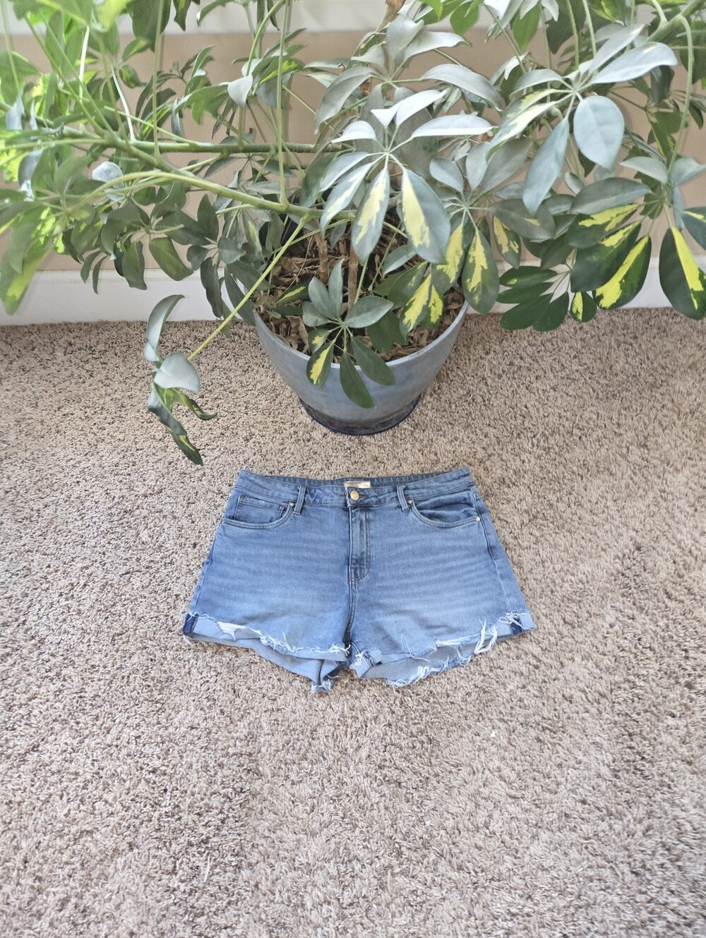 Kut From The Kloth Denim Shorts